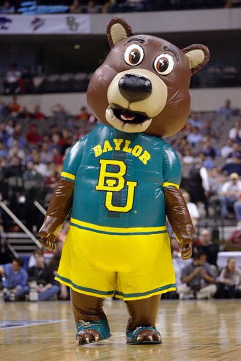 Baylot bear mascot name